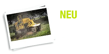 zur Galerie